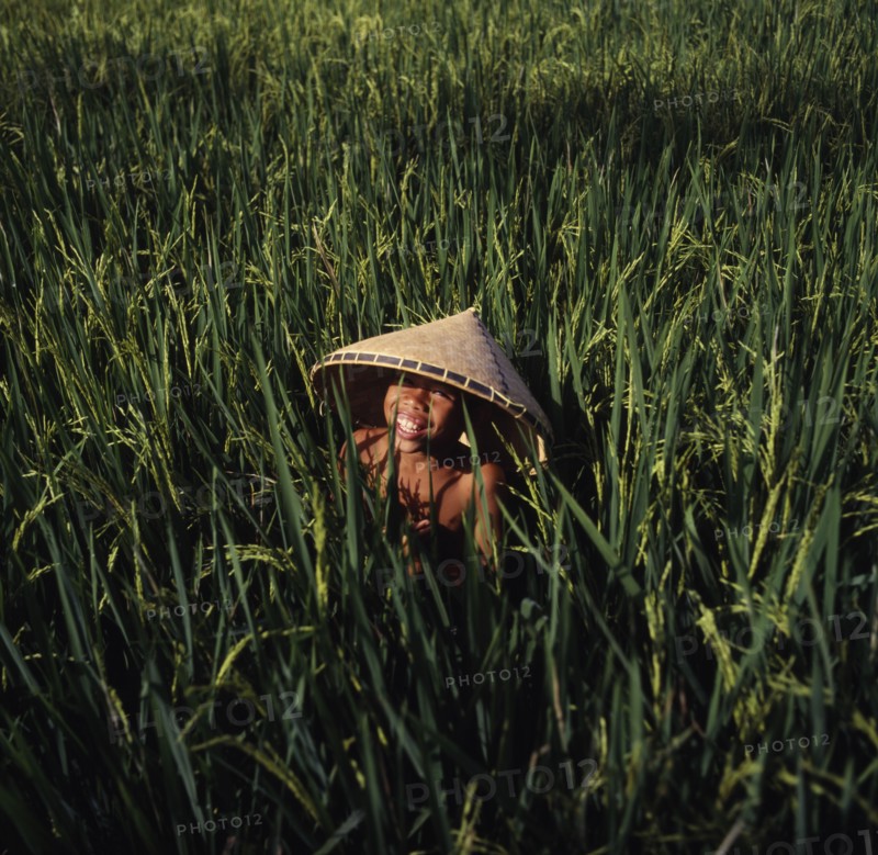 INDONESIA, Lombok, Kediri, Smiing boy wearing a conical hat in a ricefield near Makaram