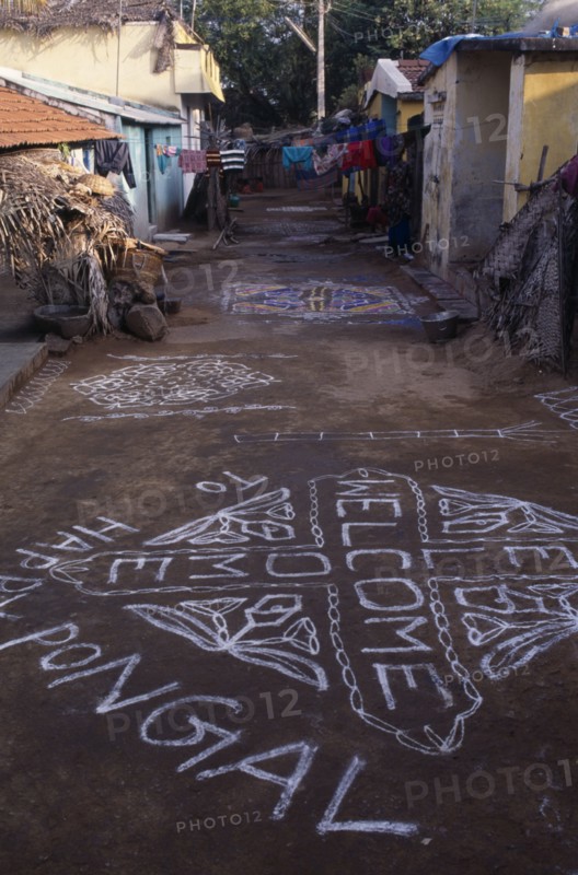 INDIA, Tamil Nadu, Festivals, Pongal Festival.  Four day festival to mark the end of harvest.  Painted welcome signs and decorative patterns on narrow street.