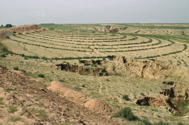 CHINA, Agriculture, Contoured planting showing erosion