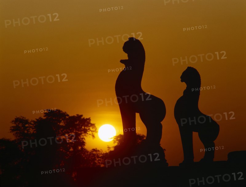 CAMBODIA, Angkor, Angkor Wat.  Golden setting sun beyond silhouetted trees and statues.