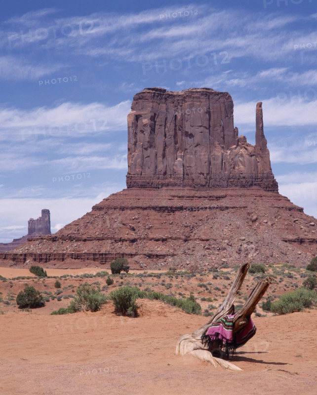 USA, Arizona, Monument Valley, Mittens desert rock formation. Large isolated block with scree slopes scrub and dead tree trunk with Navajo Indian blanket