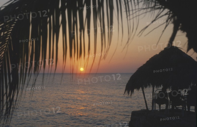 WEST INDIES, Jamaica, Negril, Ricks Cafe at sunset through coconut palm tree with tourist sitting under thatched sun shade