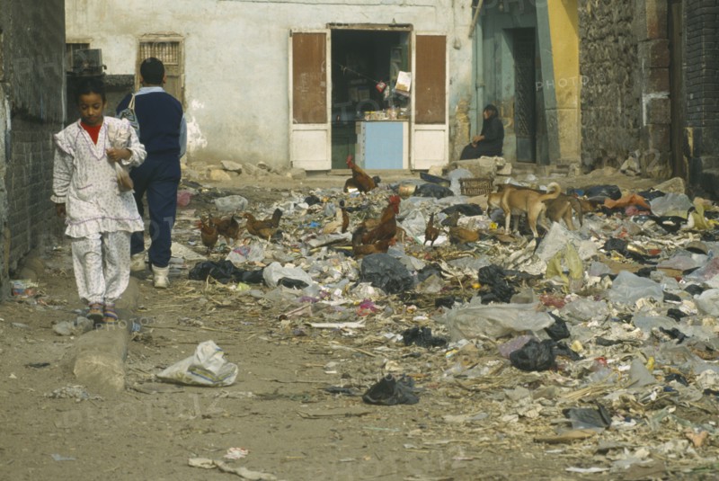 EGYPT, Cairo, School children walking past rubbish dump with chickens and dogs scavenging in the City of the Dead