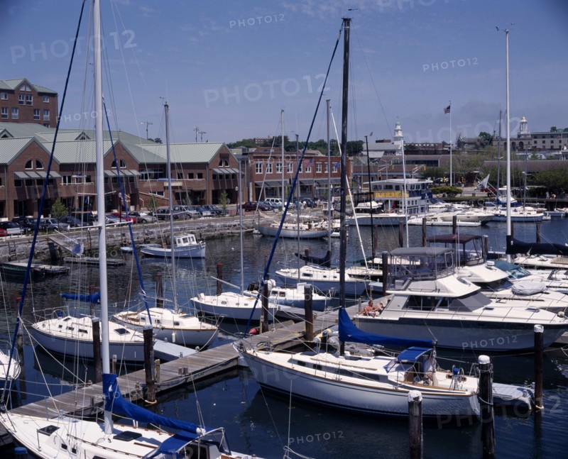 USA, Rhode Island, Newport, Marina and yachts moored at jetty and harbour buildings beyond