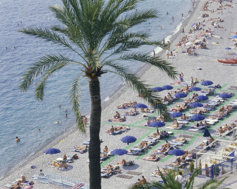 FRANCE, Provence Cote d’Azur, Alpes Maritime, "Nice Beach from above with a palm tree, sunbathers under blue umbrellas on a shingle beach "