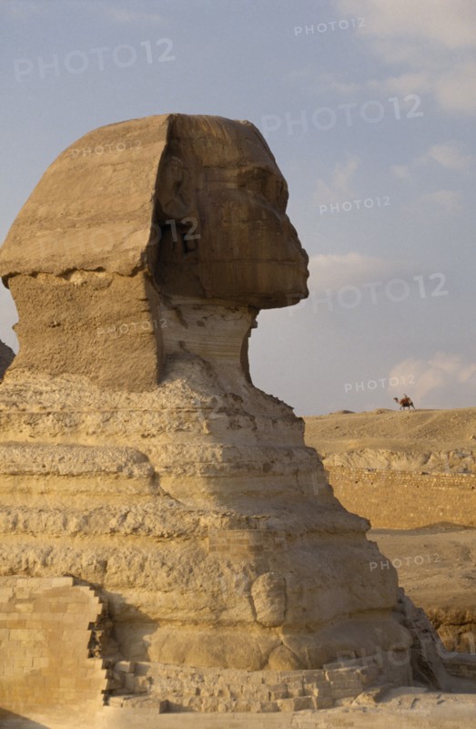 EGYPT, Cairo Area, Giza, The Sphinx in profile camel on hill in background