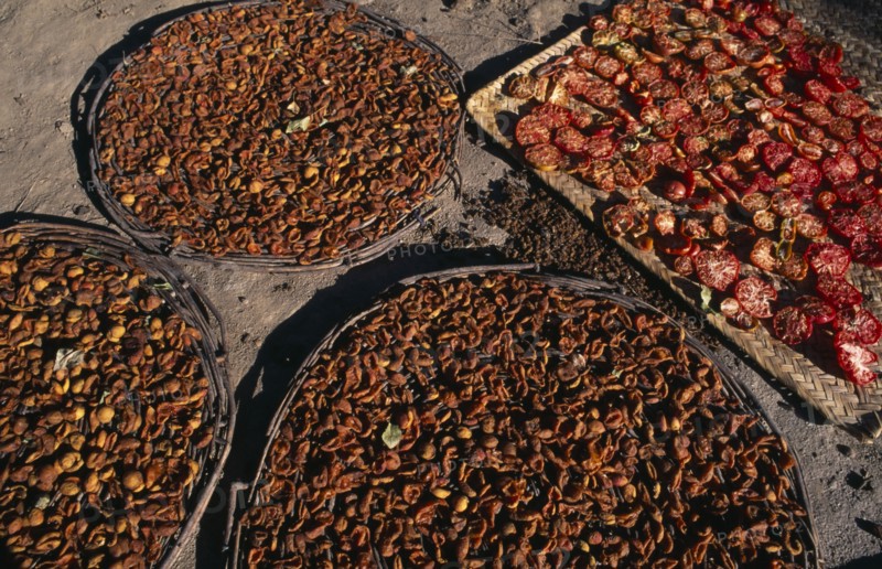 PAKISTAN, Hunza, Karimabad, Sun dried tomatoes and apricots.