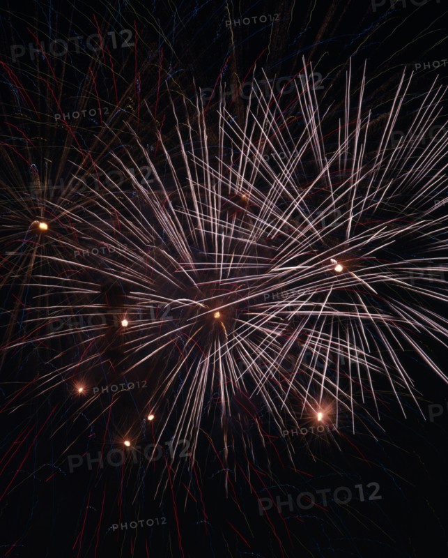 JAPAN, Fireworks, Hanabi Flowers of Fire fireworks designed to look like flowers