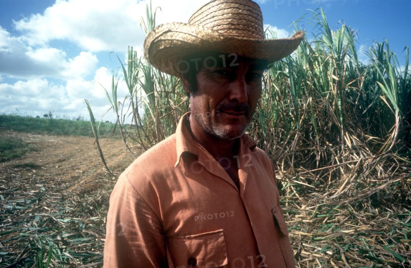 CUBA, Pinar Del Rio, Sugar worker wearing a straw hat standing in front of crops