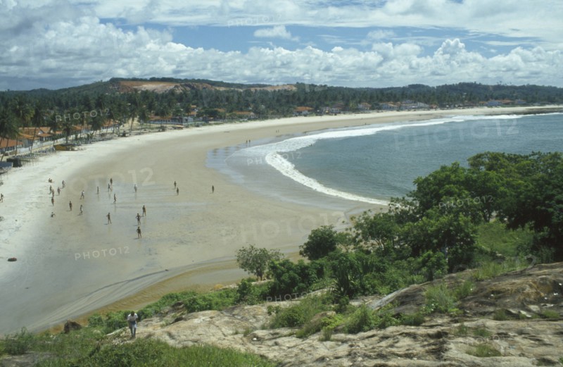 BRAZIL, Pernambuco, Near Recife, Gaitu beach cove lined with palms