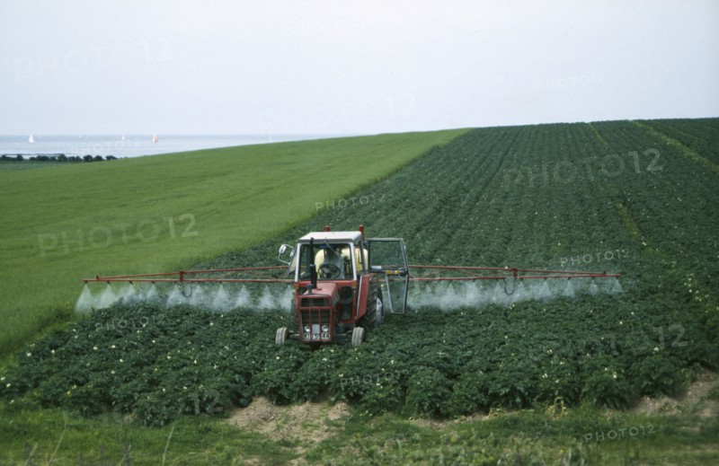 IRELAND, Arable, Farming, Spraying potato crop with pesticide