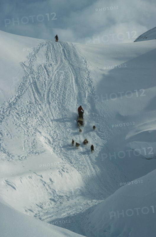 GREENLAND, Angmagssalik Island, Dog sledging down frozen waterfall