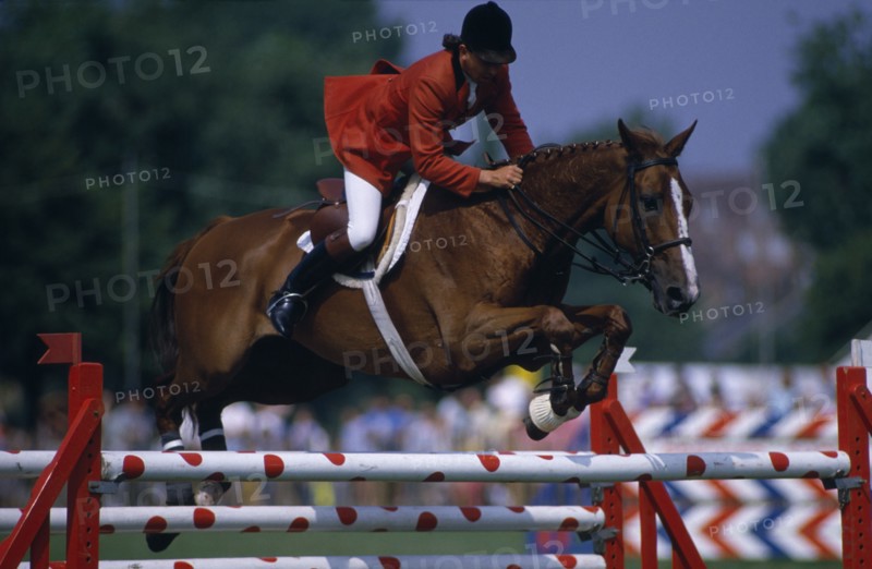 10127614 SPORT   Equestrian  Show Jumping Male Show Jumper