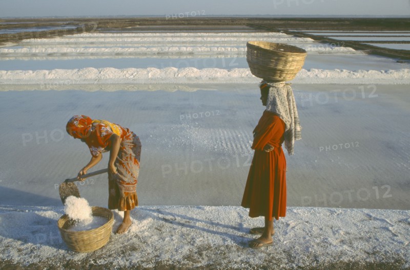 INDIA, Gujarat, Diu, Women working on salt pan gathering salt crystals into baskets carried on their heads.