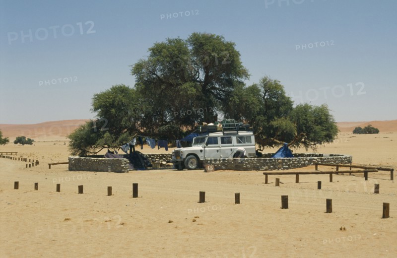 NAMIBIA, Namib Desert, Sesriem, Tourists camping under tree in the desert