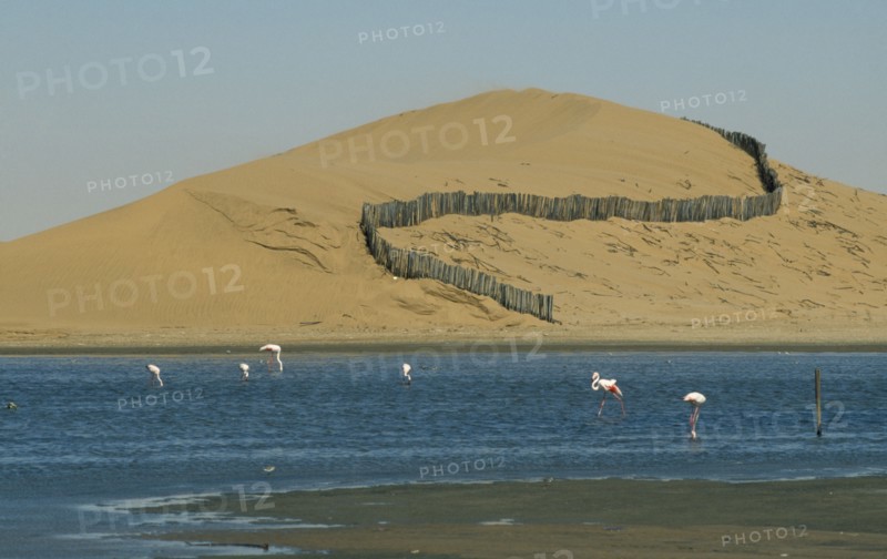 NAMIBIA, Walvis Bay, Barrier to prevent dune movement and lagoon with flamingos below