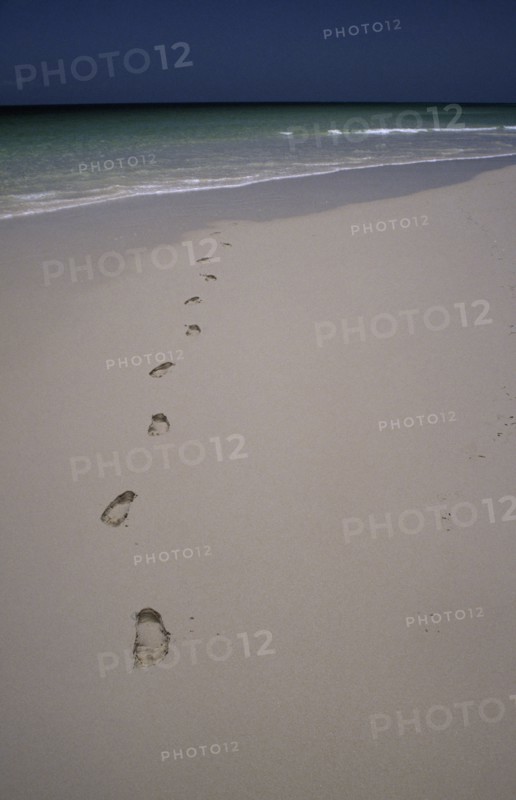 KENYA, Indian Ocean, Footprints in sand at the waters edge.