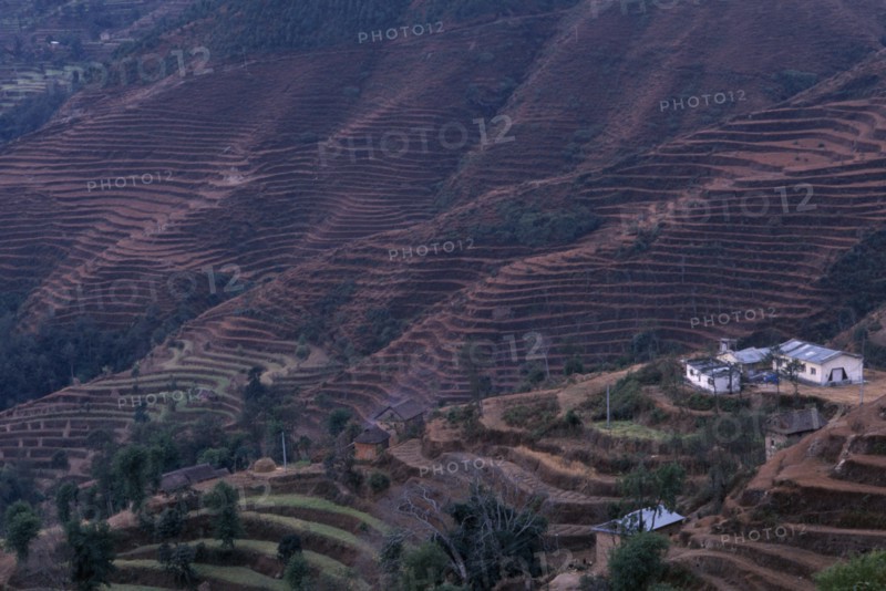 NEPAL, Nagarkot, Terraced hillside with buildings on lower slopes.