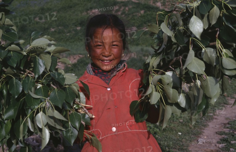 CHINA , Gansu, Xiahe , Tibetan girl holding tree branches
