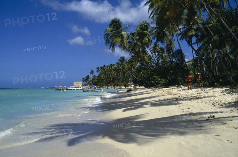 WEST INDIES, Tobago, Pigeon Point, View along shoreline and palm tree lined beach