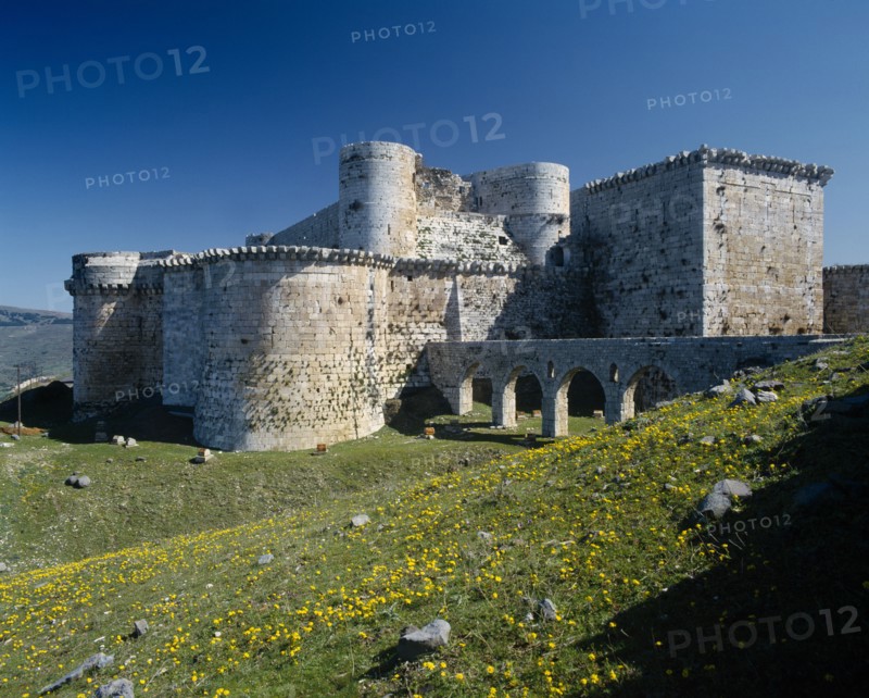 SYRIA, Central, Crac des Chevaliers, Crusader Castle in field of yellow wild flowers.