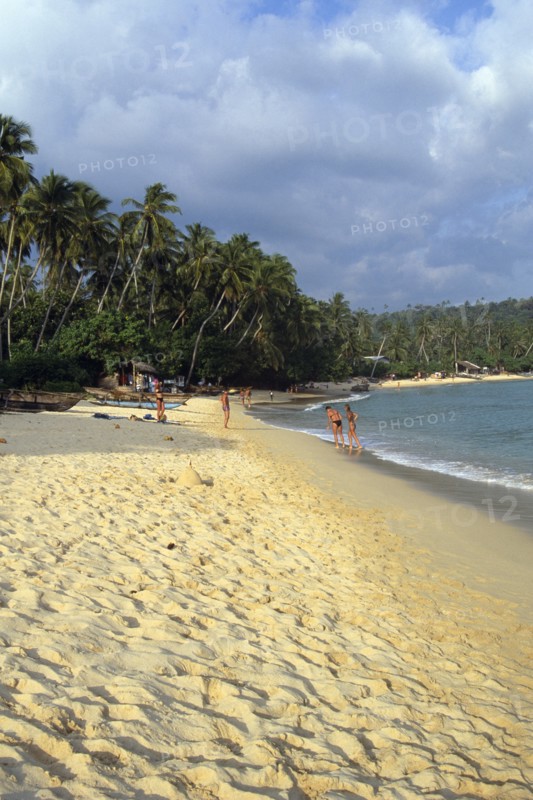 SRI LANKA, Unawatuna, View along golden sandy beach lined with palms and bathers by boats pulled on to the sand
