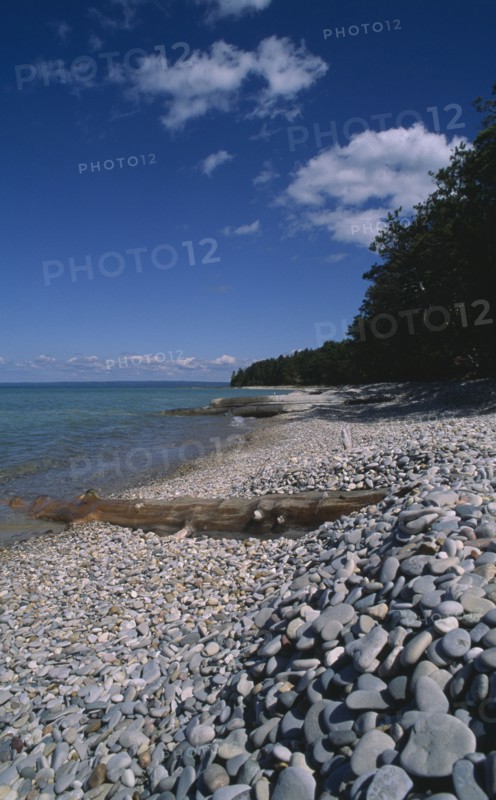 USA, Michigan, Lake Michigan, "View along shoreline with pebble beach, driftwood and breakwaters, lined by trees"