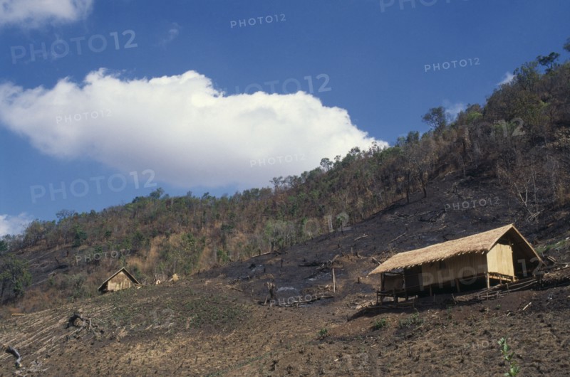 Myanmar, Farming, Slash and burn country with small wooden huts in cleared forest area
