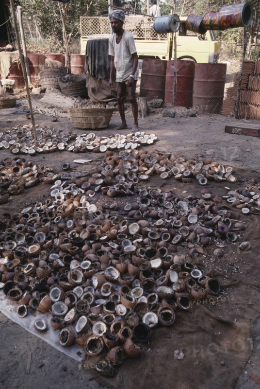 INDIA, Goa, Colva, Copra worker with piles of coconut shells in the foreground and oil drums behind