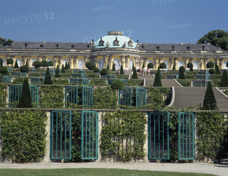 GERMANY, Potsdam, Sanssouci, The parterre with vines climbing the rows of fences and steps leading up to the entrance