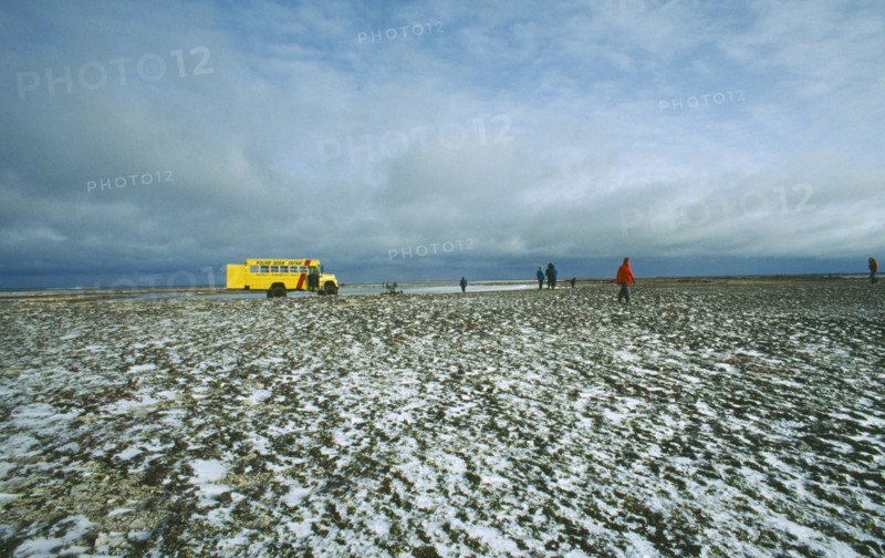 CANADA, Manitoba, Near Churchill, Tundra bus tourists walking in Polar Bear country