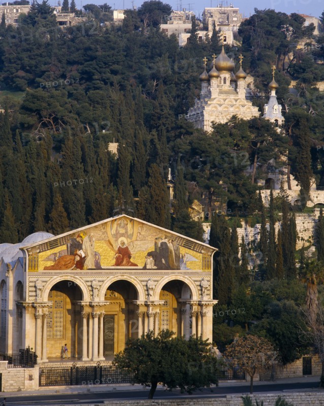 ISRAEL, Jerusalem, Garden of Gethsemane.  Church of All Nations or the Basilica of the Agony with the Church of Saint Mary Magdalene amongst trees on the Mount of Olives behind.