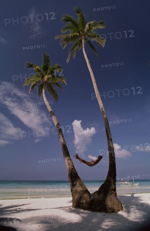 PHILIPPINES, Boracay Island, Man lying in hammock between two coconut palm trees on beach with a sailboat by the shoreline