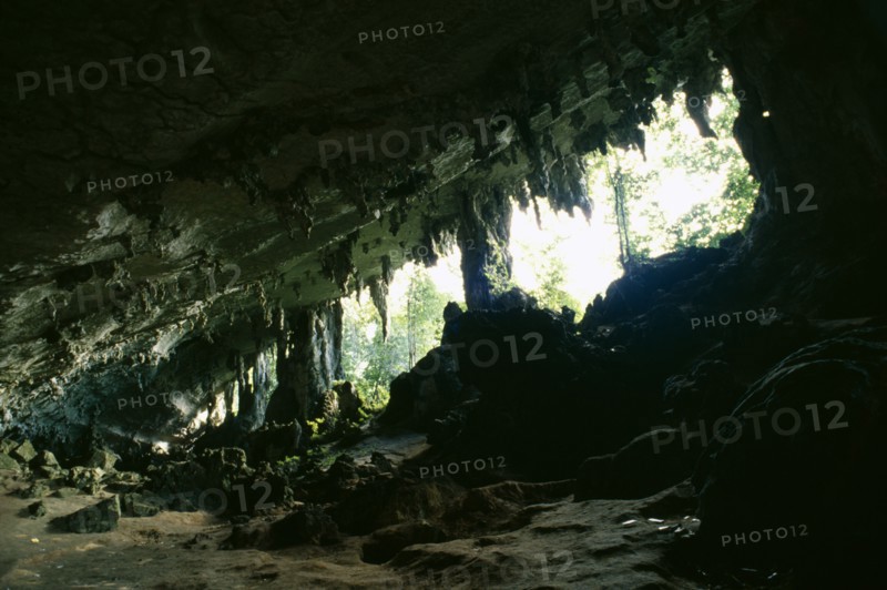 MALAYSIA, Sarawak, Niah Caves, View from rocky interior with hanging stalactites looking toward opening