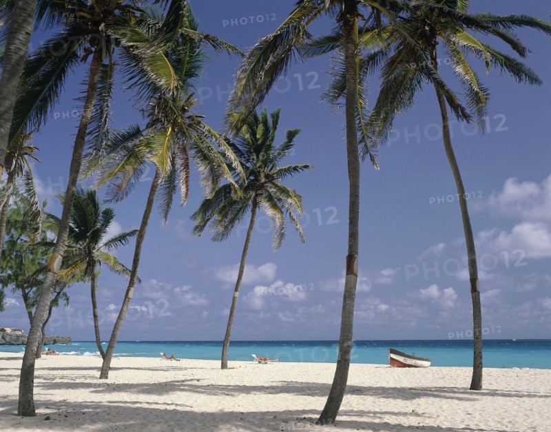 WEST INDIES, Barbados, Saint Philip, Sam Lords Castle Hotel beach with coconut palm trees and a small boat by the waters edge