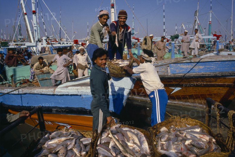 PAKISTAN, Sind, Karachi, Workers unloading fish from boat on docks