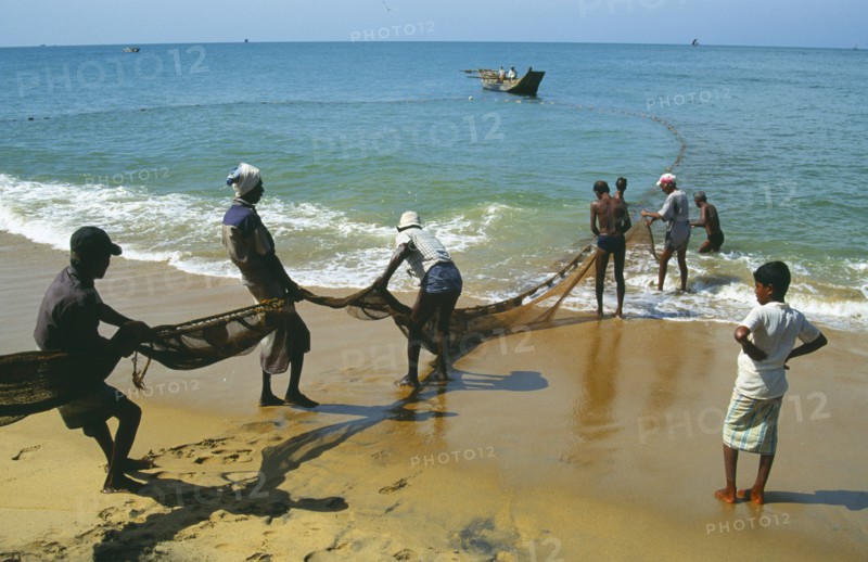 SRI LANKA, Negombo, Fishermen hauling seine net ashore on west coast beach.