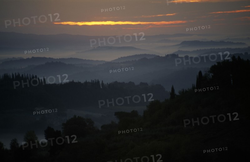 ITALY, Tuscany, San Gimignano, Sunrise through mist over wooded hillside.