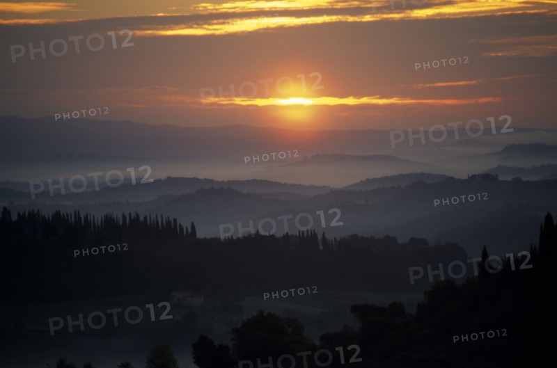 ITALY, Tuscany, San Gimignano, Sunrise through mist over wooded hillside.