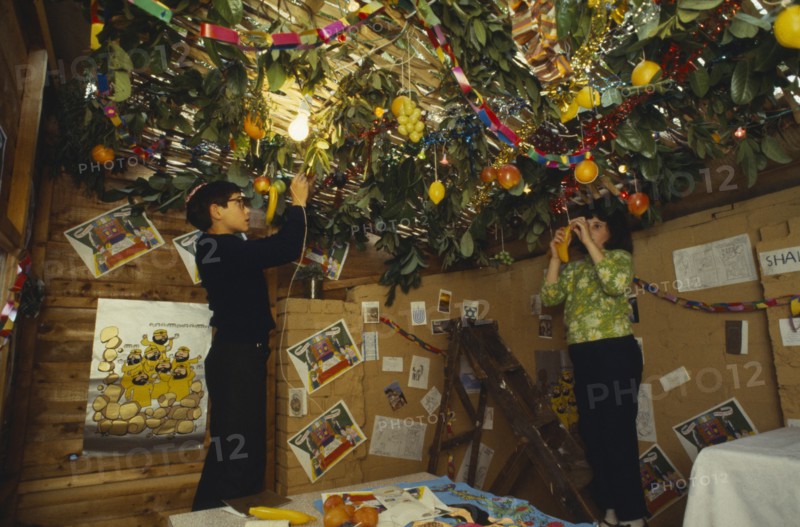 SOCIETY, Religion, Judaism, England.  Jewish children decorating the ceiling of a Sukka with cut branches and fruit during the Sukkot Festival.