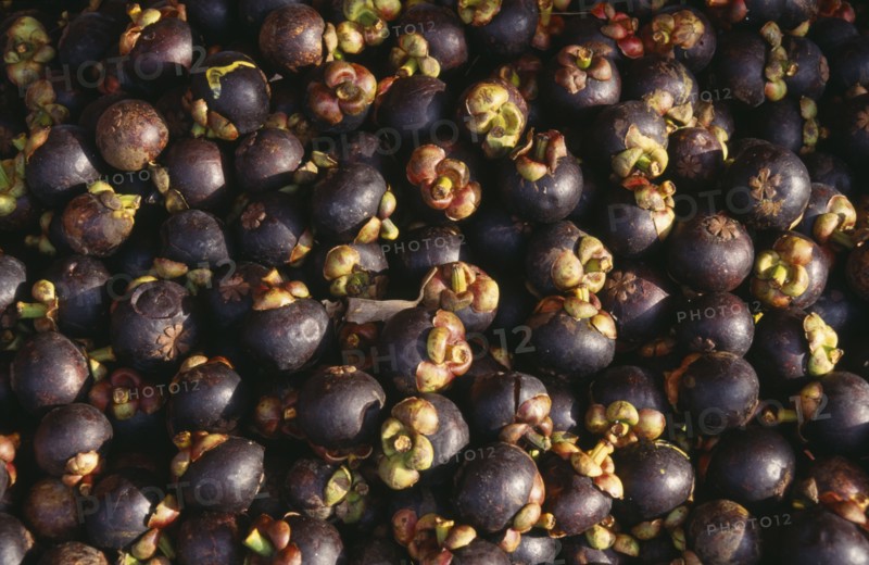 MALAYSIA, Kedah, Langkawi, Mangosteen fruits at The Night Market in Kuah