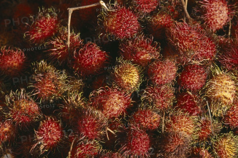 MALAYSIA, Kedah, Langkawi, Rambutan fruits at The Night Market in Kuah