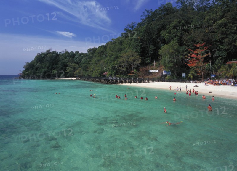 MALAYSIA, Kedah, Langkawi, Pulau Paya marine national park tree lined beach with tourists snorkling above the inshore coral