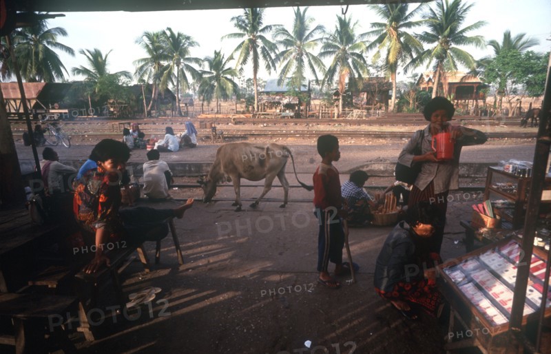 CAMBODIA, Pursat, "Railway station.  People waiting beside the tracks, stalls and cow."