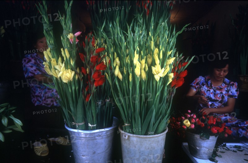VIETNAM, Ho Chi Minh City, Women selling flowers at central market.