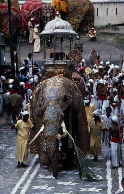 SRI LANKA, Kandy, "The Esala Perahera honouring the sacred Buddhist tooth relic of Kandy.  The Maligawa Tusker elephant carries a replica of the golden, relic casket."
