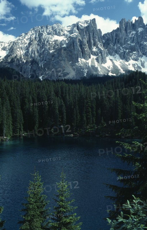 ITALY, Trentino-Alto Adige, Dolomites, Conifer trees lining Lake Carezza below Mount Latemar