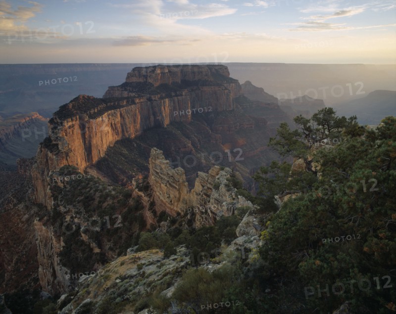 USA, Arizona, Grand Canyon , "View over sandstone and limestone rock formation in the Grand Canyon, trees growing on rocky cliff face in the foreground."