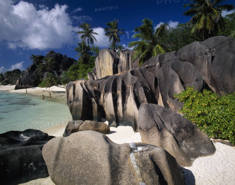 SEYCHELLES, La Digue, Source De L’Argent, "Large, smoothly eroded rocks with graduated colour tones and tidemarks.  Clear blue water, palm trees and stretch of white sand behind. "