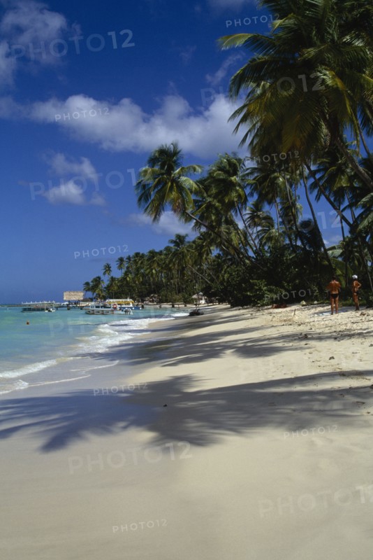 WEST INDIES, Tobago, Pigeon Point, View along the coconut palm tree lined beach towards the jetty